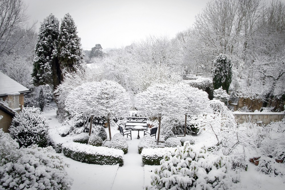You are currently viewing Jak przygotować ogród na zimę?