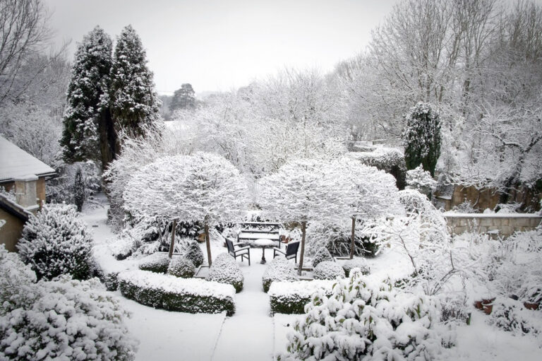 Read more about the article Jak przygotować ogród na zimę?
